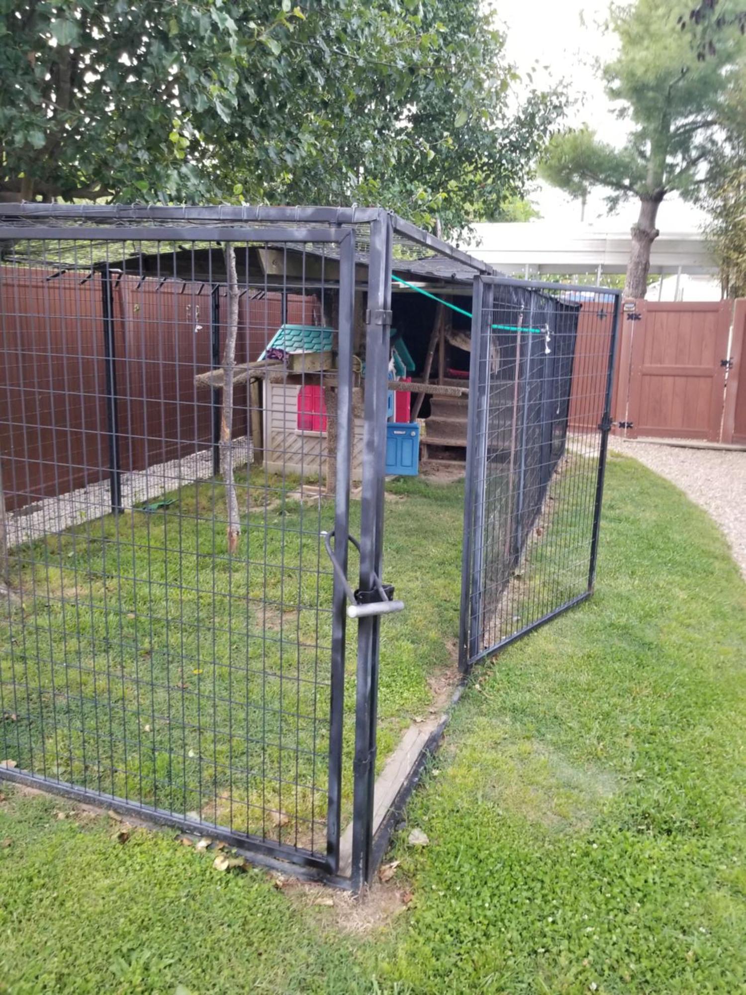Private Pet Friendly Home Near Exotic Deer Farm Close To Pigeon Forge, Gatlinburg Tn Севьервилл Экстерьер фото